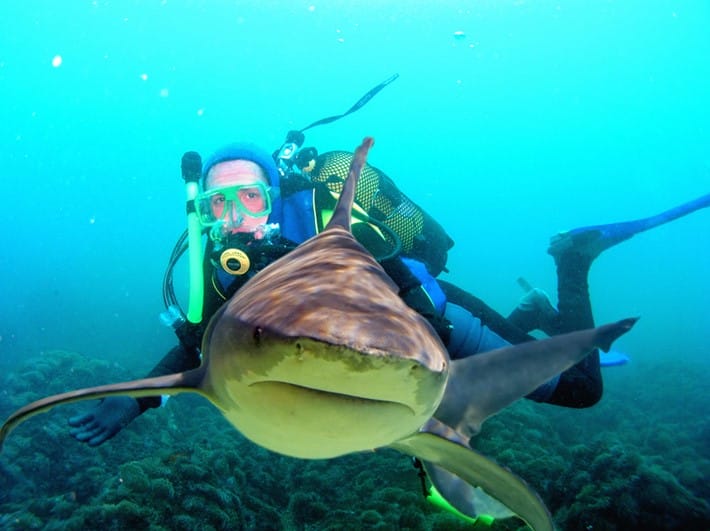 Selfies Responsible for More Deaths than Sharks