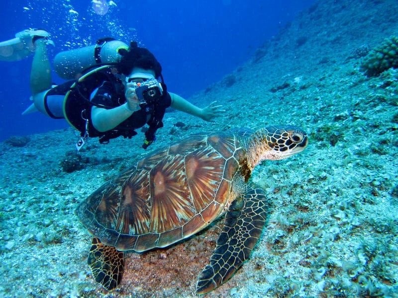 Bucket List Adventures. Unleashing the Thrill-Seeker Within in Australia
