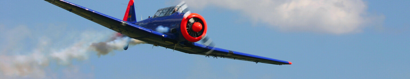 Flying