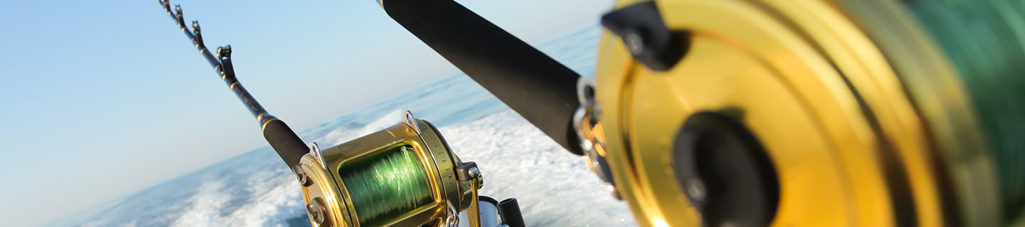 Fishing Experiences