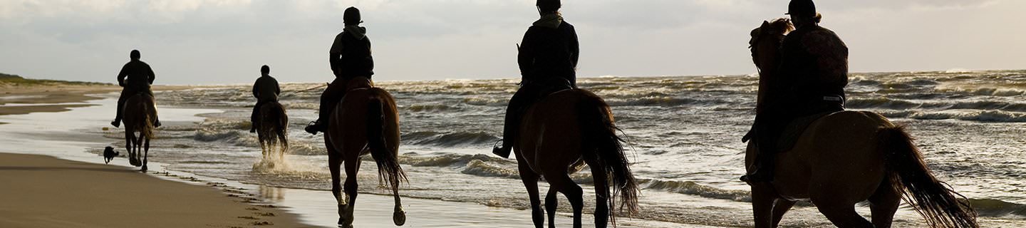 Horse Riding