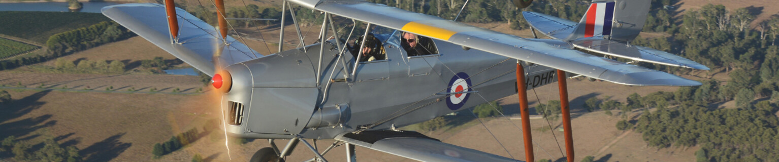 Vintage Tiger Moth Flights
