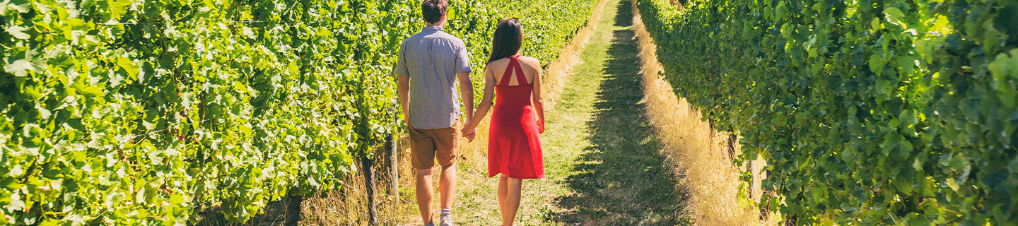 Wine Tours