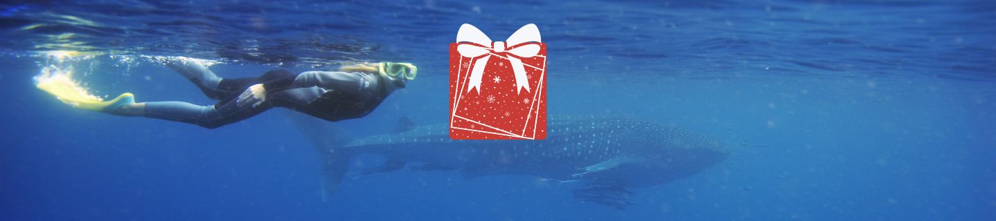 Christmas Gifts