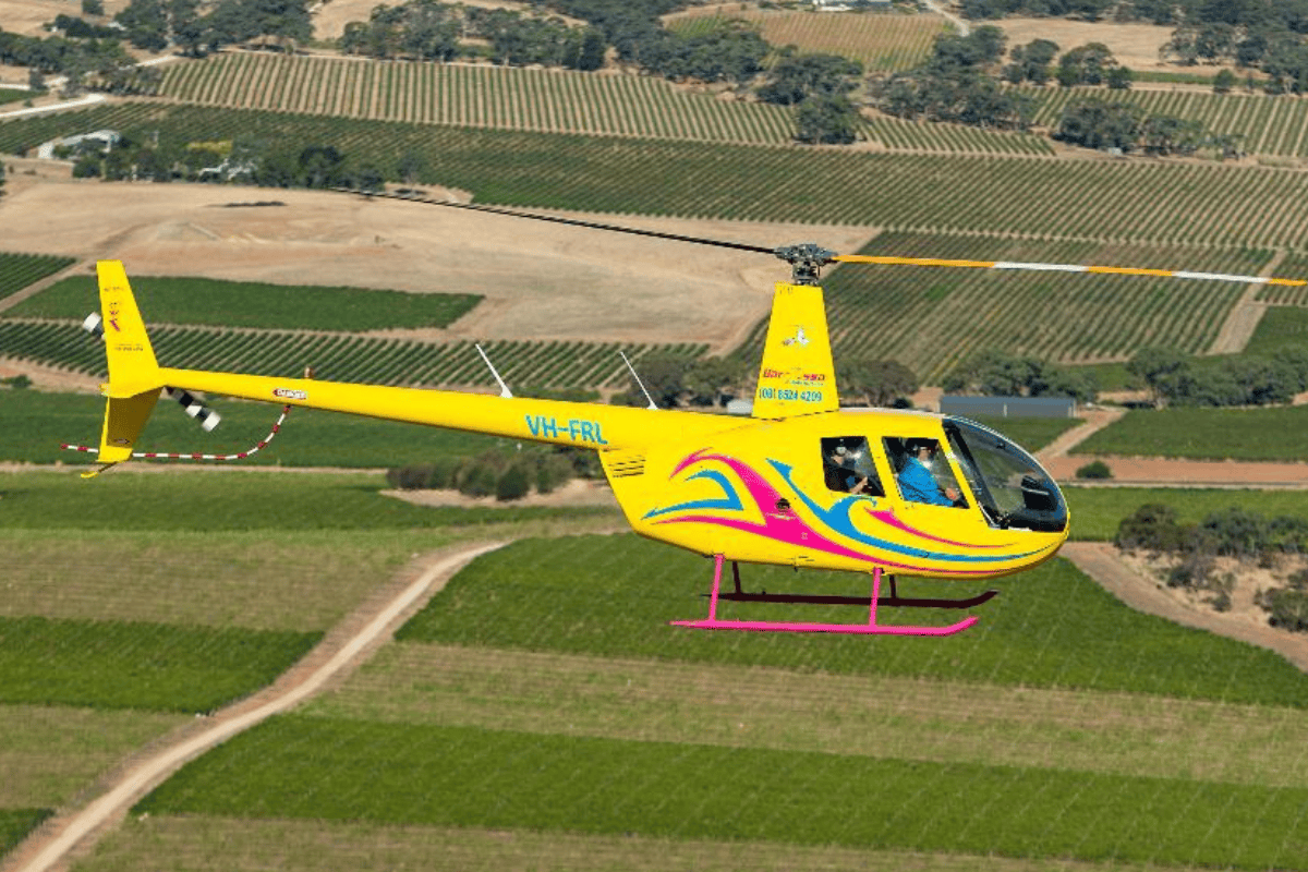 Springtime Splendor in Barossa Valley. Top 5 Destinations to Explore.