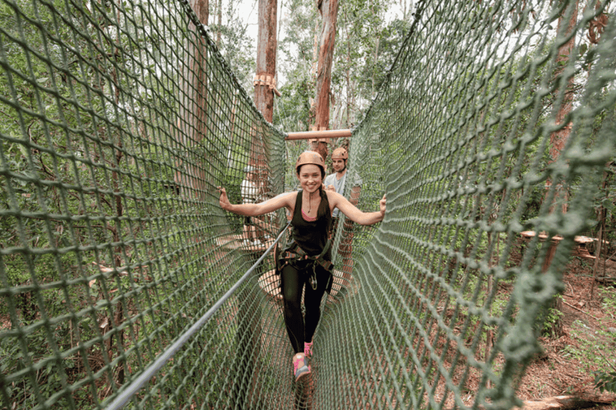 Tree Tops Ropes Course Treetops Elevated Ropes Course - West Pennant Hills