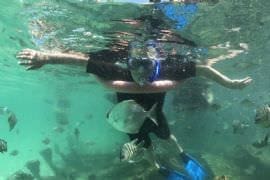 Eco Marine Cruise with Brisbane Transfers