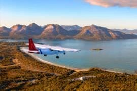 Wineglass and Wildlife Tour