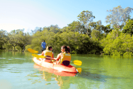 Sea Kayak and Dolphin Tour, Byron Bay Marine Park
