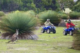 Sunset Quad Bike Kangaroo Safari