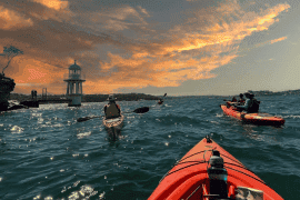 Sydney Sunset Kayak Tour