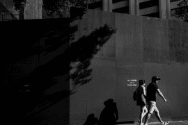 Sydney Smartphone Photography Course