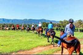 Vineyard Trail Ride