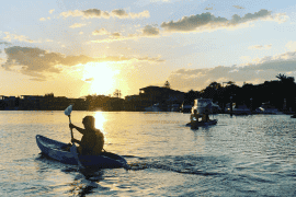 Dolphin and Stradbroke Island Kayak Tour (child)