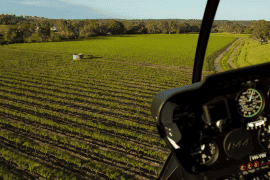 Helicopter and Wine Extravaganza at Pindarie Wines