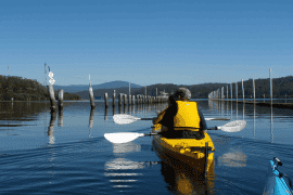 Sea Kayak Tour, Half Day For Two