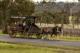 Hunter Valley Wine and Produce Journey