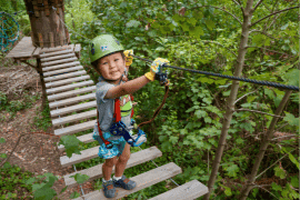 Junior Treetops Ropes Course