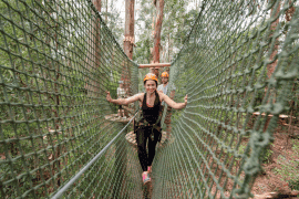 Treetops Elevated Ropes Course
