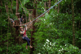 Zipline Canopy Tour