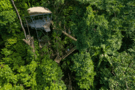 Zipline Canopy Tour (child)