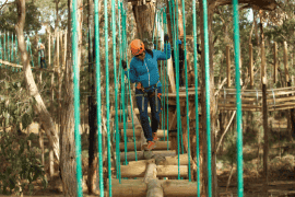 Treetops Elevated Ropes Course