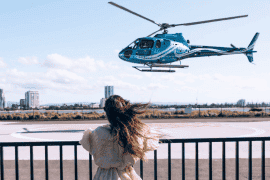 Scenic Helicopter Flight of Sea World