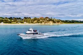 Wildlife Adventure Cruise from Sorrento