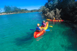 Kayaking, Brunswick River Nature Tour