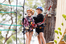 Junior Treetops Ropes Course