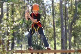 Children's Treetops Ropes Course