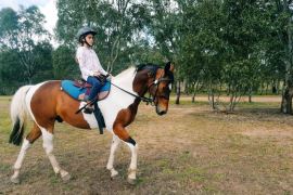 Riding Lesson at Woodlands Lodge