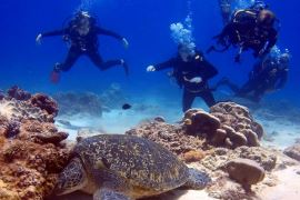 Open Water Scuba Diver Course