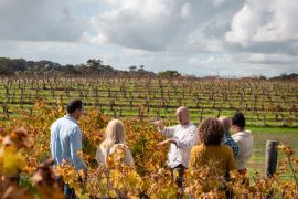 Margaret River Full Day Wine Produce Tour