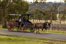 Exclusive Horse and Carriage Wine Tour for 4