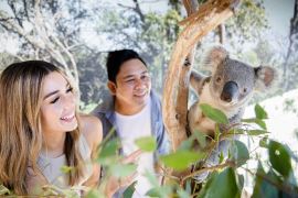 Ultimate Blue Mountains Tour