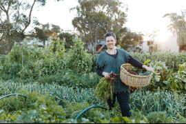 Watervale Chef's Tour and Lunch