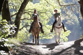 Helicopter and Horse Ride with Picnic