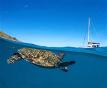 Whitsundays Private Sail