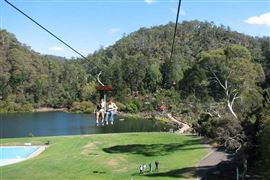 Explore Cataract Gorge and Grindelwald