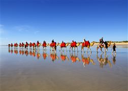 Cable Beach Camel Sampler Ride