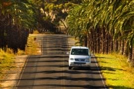Exclusive Full Day Clare Valley Tour