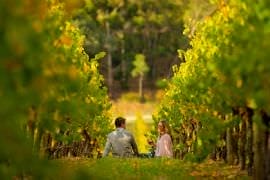 Full Day McLaren Vale Gourmet and Wine Tour