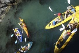 Glass-Bottom Kayak Tour (child)