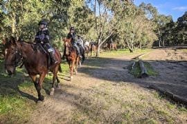 1-hour Family Horse Riding Tour
