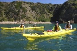 Phillip Island Kayak Tour
