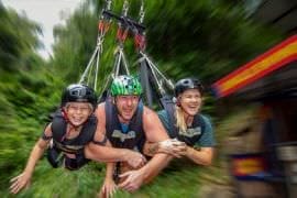 Giant Jungle Swing, Family