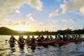 Sea Kayak and Dolphin Tour, Byron Bay Marine Park