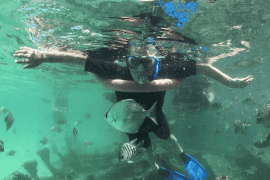 Eco Marine Safari Cruise and Snorkel