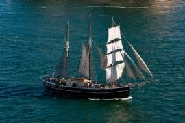 Tall Ship Lunch Cruise (child)
